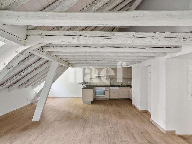 Bel appartement atypique situé au coeur de la Ville