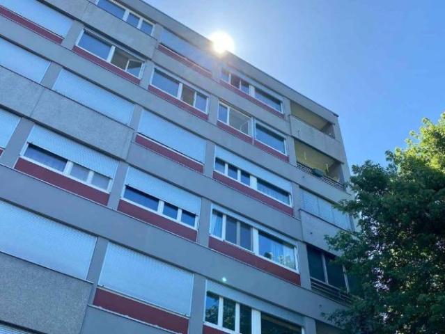 Bel appartement aux Charmilles