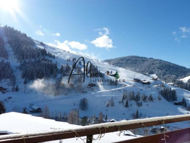Bel appartement aux pieds des pistes entierement rénové