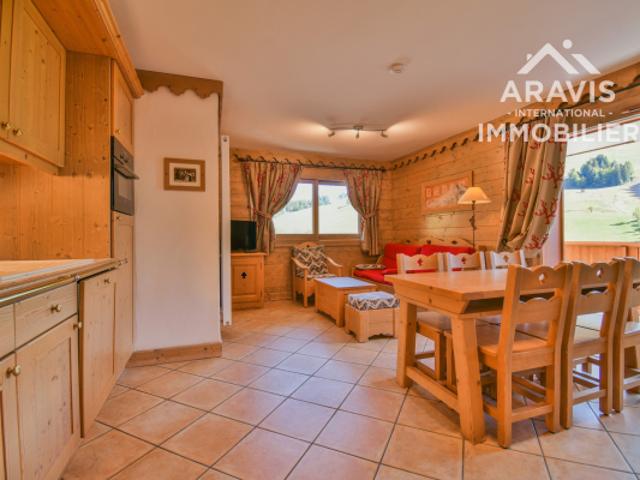 Bel appartement avec vue sur les pistes de ski