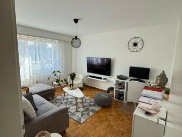 Crissier, District de l'Ouest lausannois, Waadt
