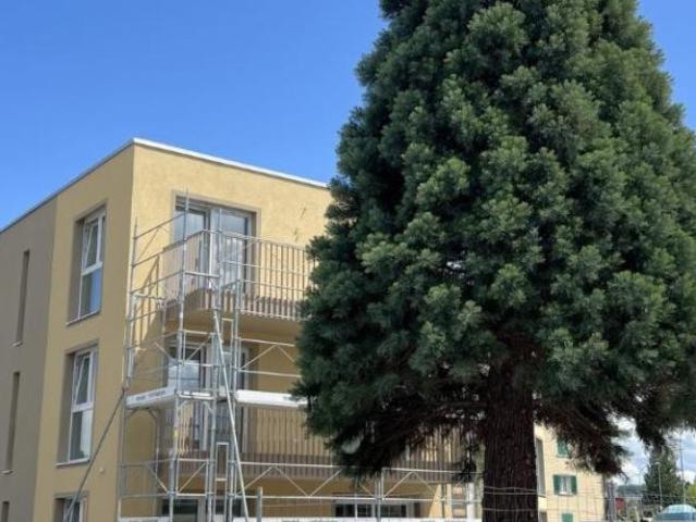 Bel appartement de 2 pièces avec grand jardin