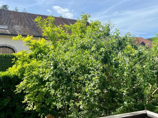 Bel appartement de 4.5 pièces au 1er étage avec un balcon