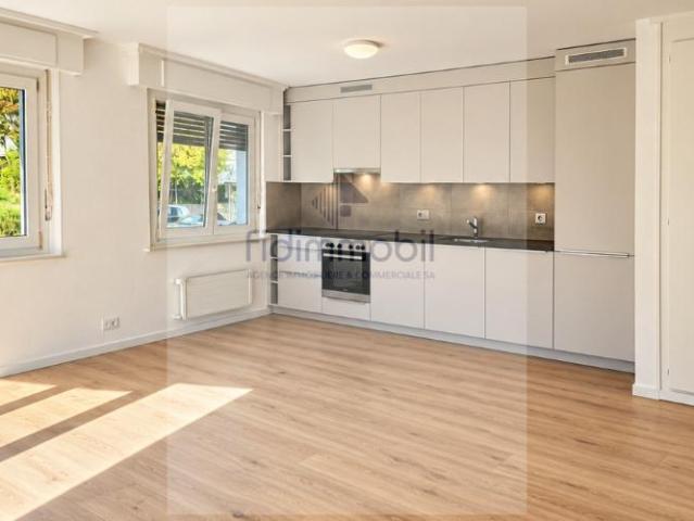 Bel appartement entièrement rénové avec balcon