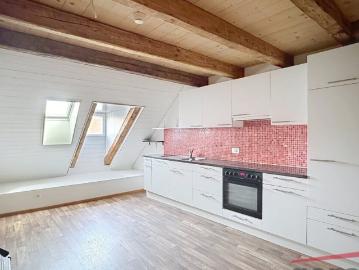 Bel appartement en duplex
