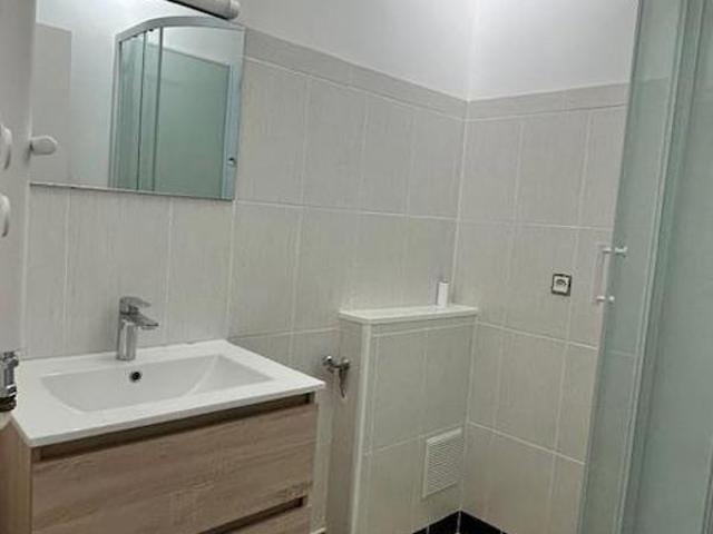 Bel appartement refait à neuf centre ville