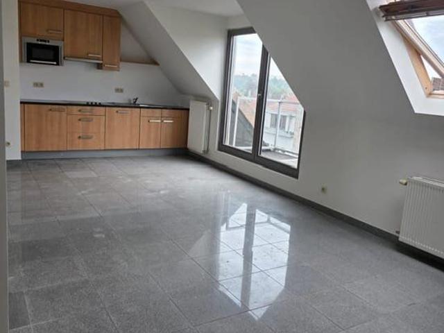 Bel appartement rénové avec 1 chambre