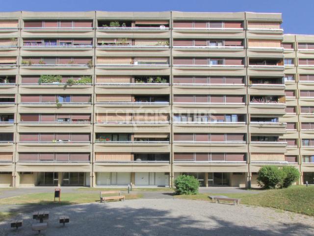Bel appartement rénové à Meyrin