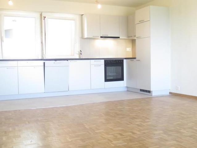 Bel appartement rénové récemment avec magnifique vue sur le lac
