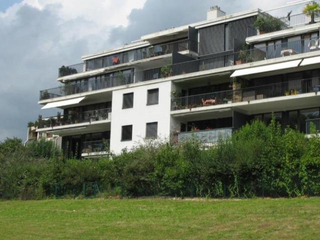 BEL APPARTEMENT TERRASSE NYON