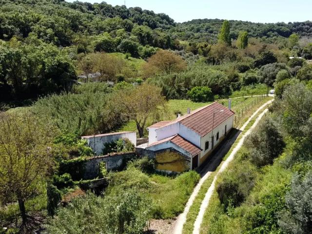 Bela Casa de Campo em Santarém