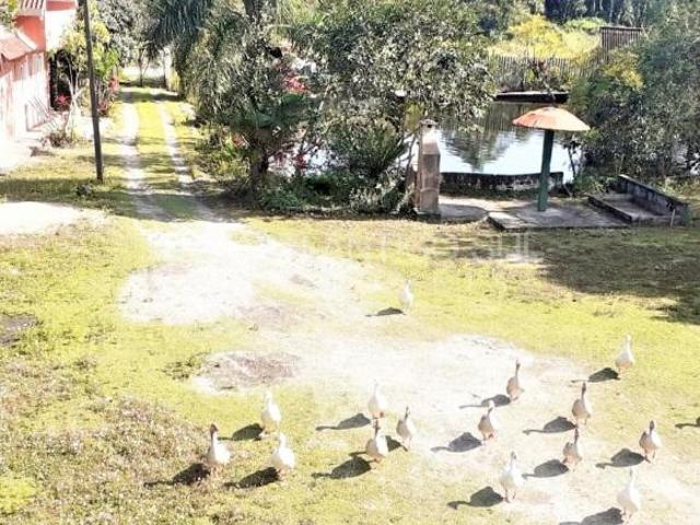 Bela chácara à venda, GUARAGUAÇU, PONTAL DO PARANA PR