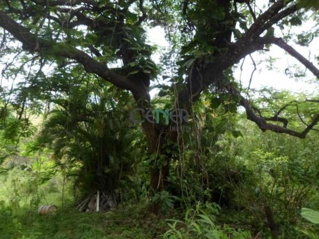 Bela fazenda de 103 ha em Além Paraíba MG