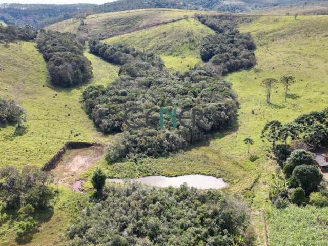 Bela fazenda de 133 ha na região de Juiz de Fora MG