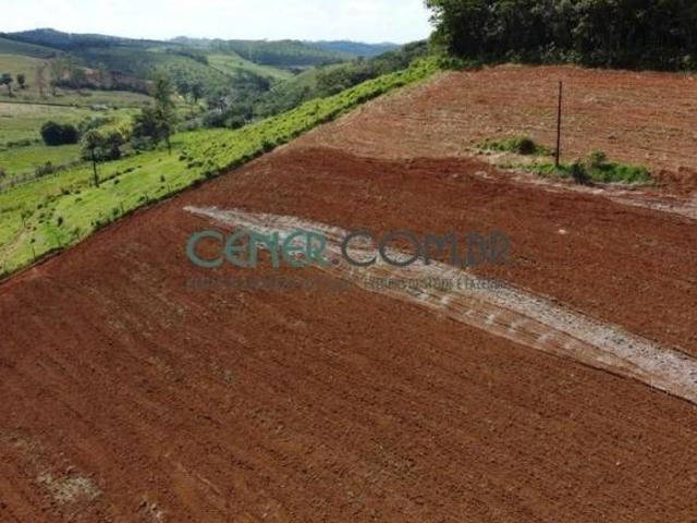 Bela Fazenda de 214 ha com Ótima estrutura para Leite, boa Sede, Terras extras porteira