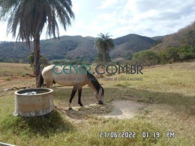 Bela Fazenda de 317 ha preparada para pecuária na Reg de Sete Lagoas MG