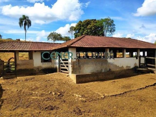 Bela Fazenda de 73 ha com muita Água em São Tiago MG