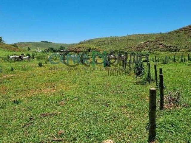 Bela Fazenda de 930 ha com Sede Centenária e muita capacidade Produtiva