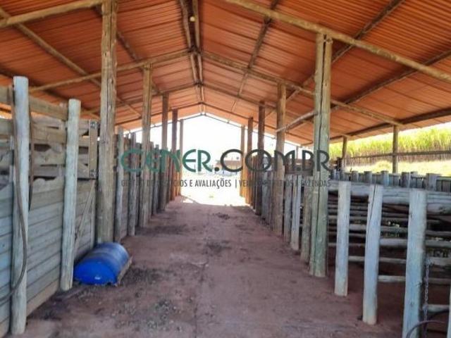 Bela Fazenda/Haras de 61 ha, Lindo Local entre Margens da Represa de Camargos