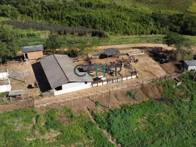 Bela fazendinha de 44 ha R$1,6 M ou 47 há por R$2 M, lavouras e leite