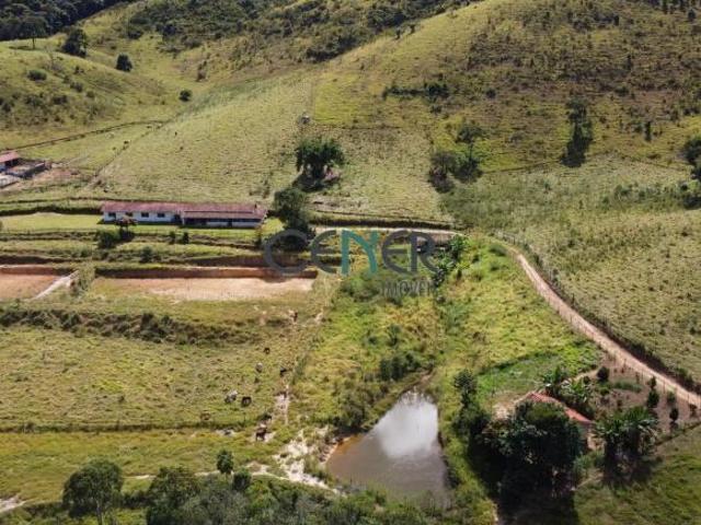 Bela fazendinha de 45 ha com café na reg de Barbacena MG