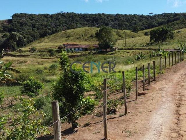 Bela fazendinha de 45 ha com café na reg de Barbacena MG