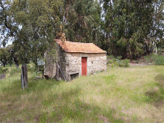 Bela quinta biológica com 8.800m2. Com um edifício em pedra para converter, oliveiras adultas e sobreiros e videiras. Localização muito calma e tranquila e perto da Village.Electricity e água da rede perto