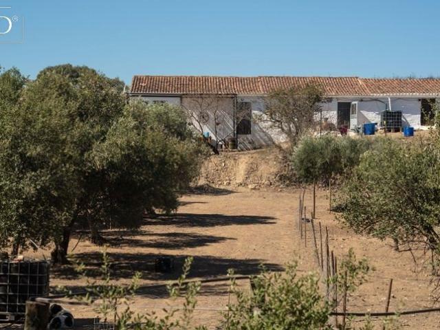 Bela quinta nómada fora da rede – um oásis privado na nature. 117m² Espírito santo, nossa senhora da graça e são simão