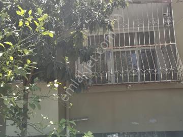 Çukurova, Adana ili, Akdeniz Bölgesi