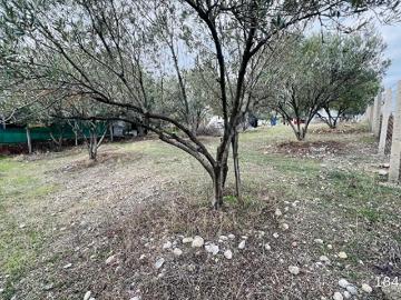 Belenbaşı, Buca, İzmir ili, Ege Bölgesi