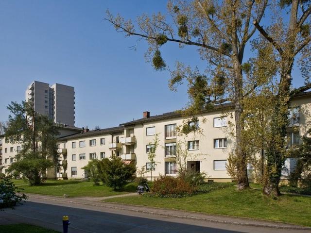 Beliebte Wohnlage in Birsfelden