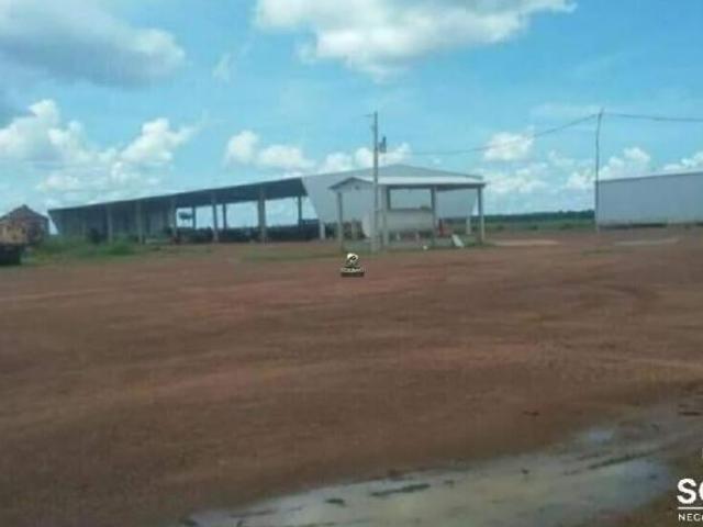BELÍSSIMA FAZENDA DIPLA APTIDÃO