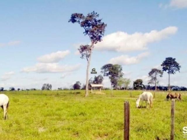 BELÍSSIMA FAZENDA PARAÍSO DO SUL MT