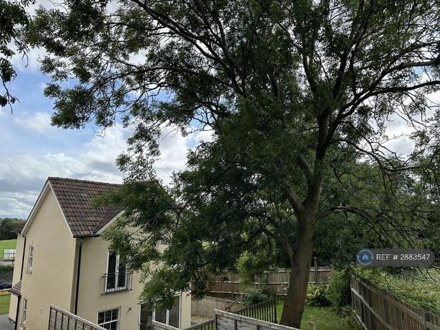 Bell Hill, Bristol, BS16 1 bed in a house share to rent £800 pcm £185 pw