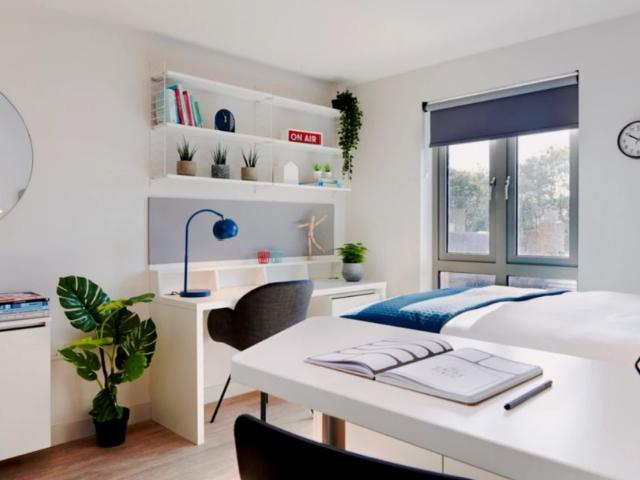 Bellamy Studio