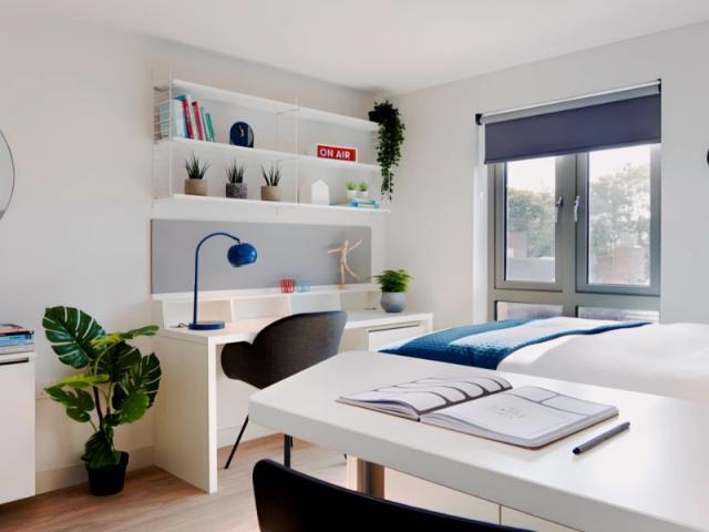Bellamy Studio Single Occupancy