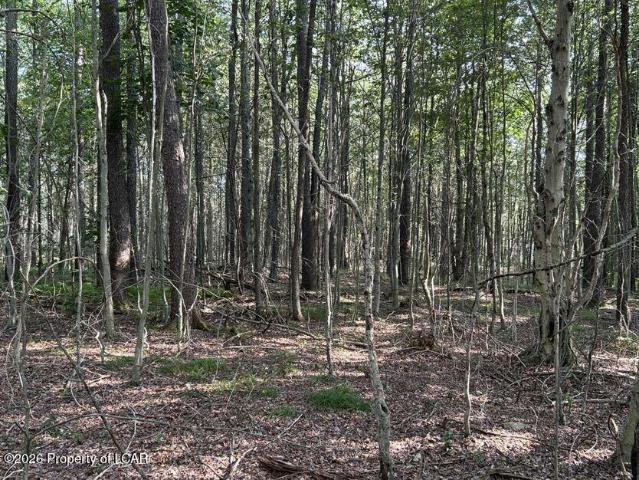 Bellasylva Road