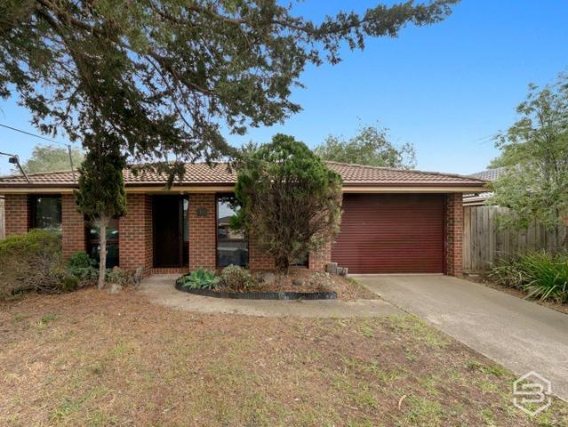 Bellbridge Beauty Spacious Family Living in a Prime Location