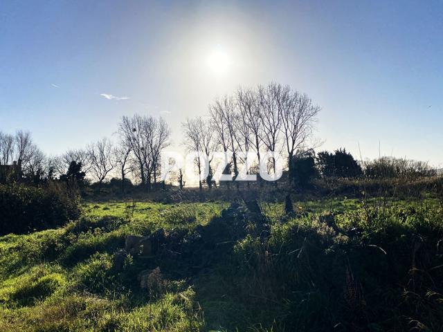Belle bâtisse en pierres à Saint Vaast la Hougue