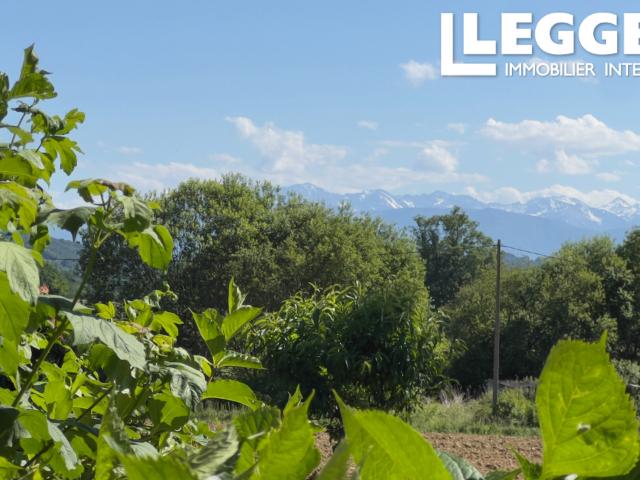 GRANDE BELLE MAISON / DEPENDENCES /3 CHB 3SDB /VASTE APT 1 CHB /VUE PYRENEES /JARDIN/BOIS /TRIE SUR BAISE