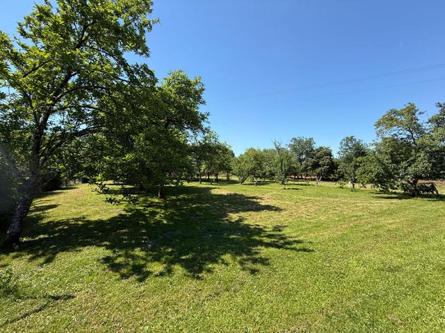 Belle Demeure de Caractère avec Plus de 5 000 m2 de Terrain, Verger et Dépendances