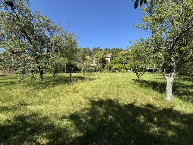 Belle demeure des années 30 avec jardin arboré et potentiel à Di