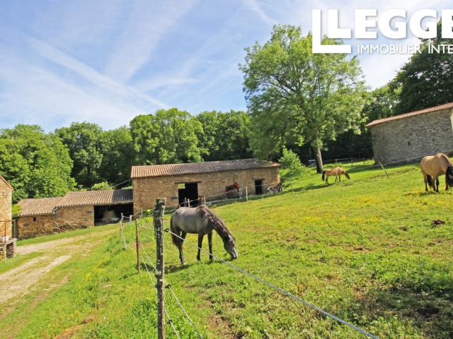 Belle ferme traditionnelle en pierre, terrain et dépendances pour un camping, des chevaux ou des évènements