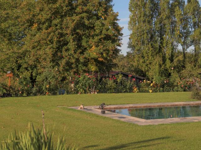 Belle Maison de caractère en pierre avec piscine et terrain de 7.5 ha Proche de Castillonnès 47