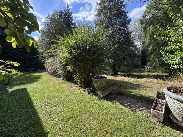Belle Maison + dépendances sur 1,8 hectares
