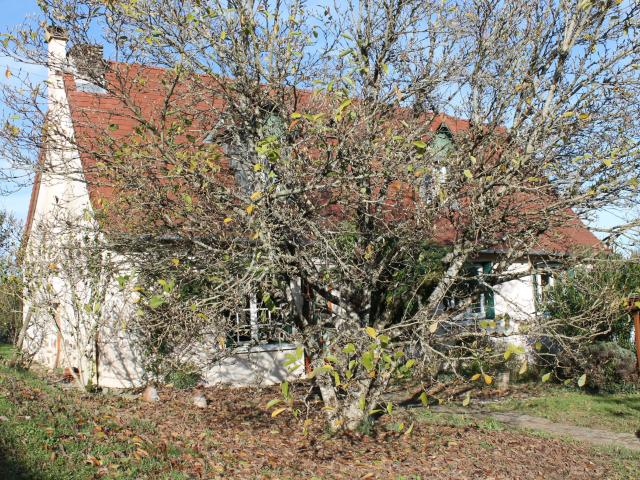 Belle maison en pierres à la campagne