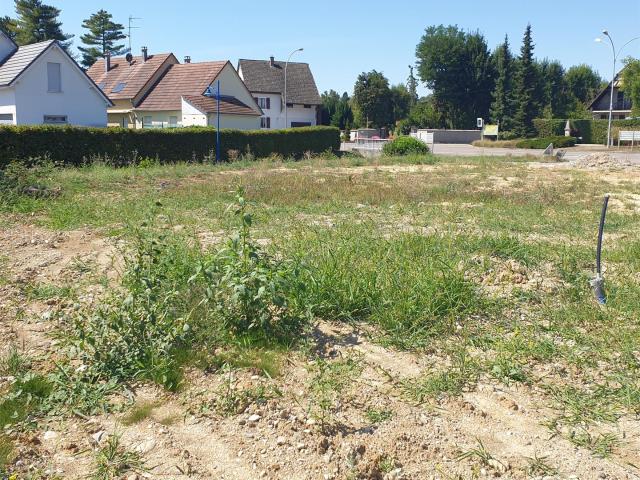 Belle maison individuelle sur Hagenthal le bas 116m² Hagenthal le Bas