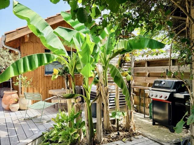 Belle maison ossature bois avec studio indépendant 138m² Lacanau