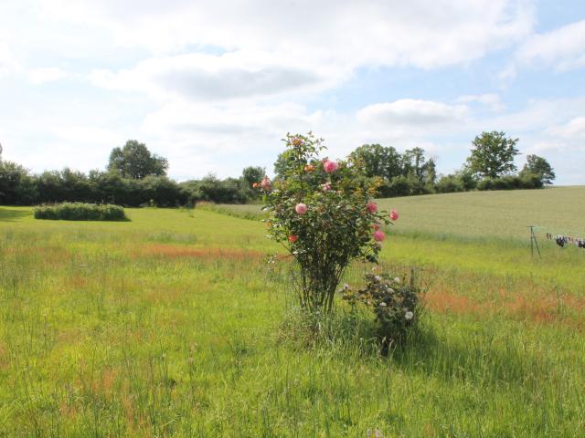 Belle maison récente au calme à la campagne