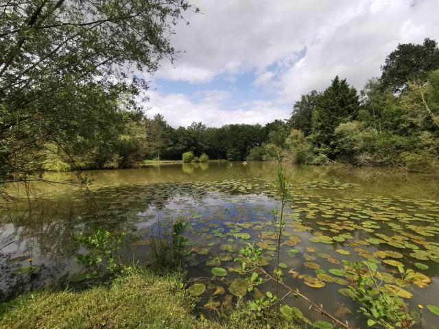 Belle Propriété De 6.5Ha Avec Deux Étangs 237m² Genouilly